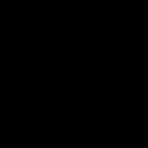 Meet your Posher, Itzel